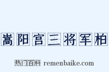 嵩阳宫三将军柏是什么意思的图片